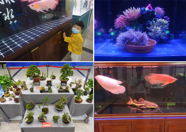 优德88(中国区)最新官方网站
